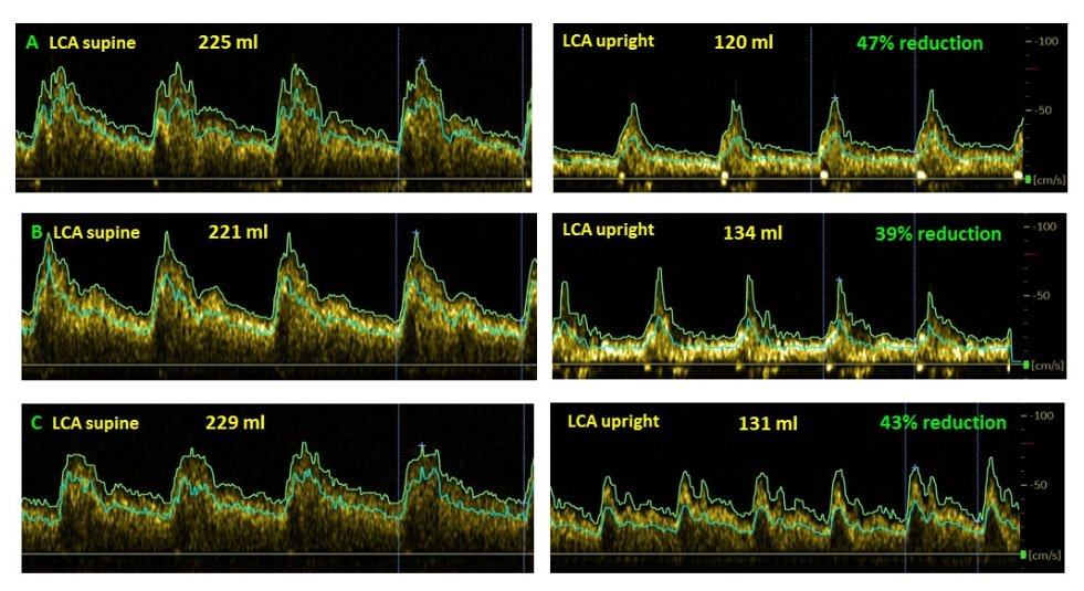 Herbert Renz-Polster tweet media