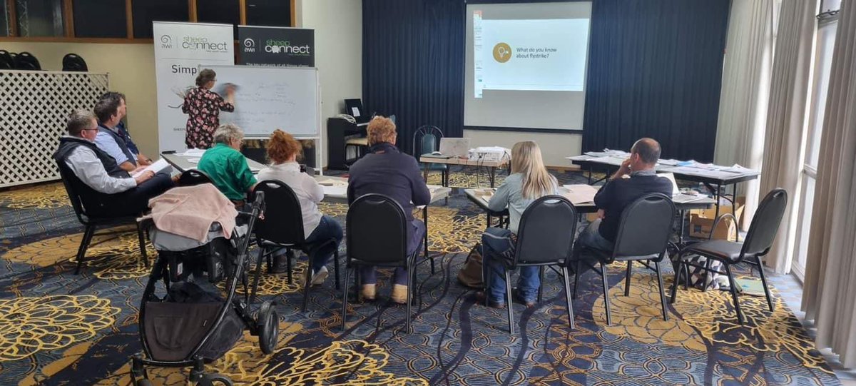 AWIExtensionNSW's tweet photo. We are up in the New England with two #SimpliFly 🪰 workshops! This one was held yesterday in Glen Innes with Dr Deb Maxwell presenting. @woolinnovation https://t.co/lZFgiYfLtd
