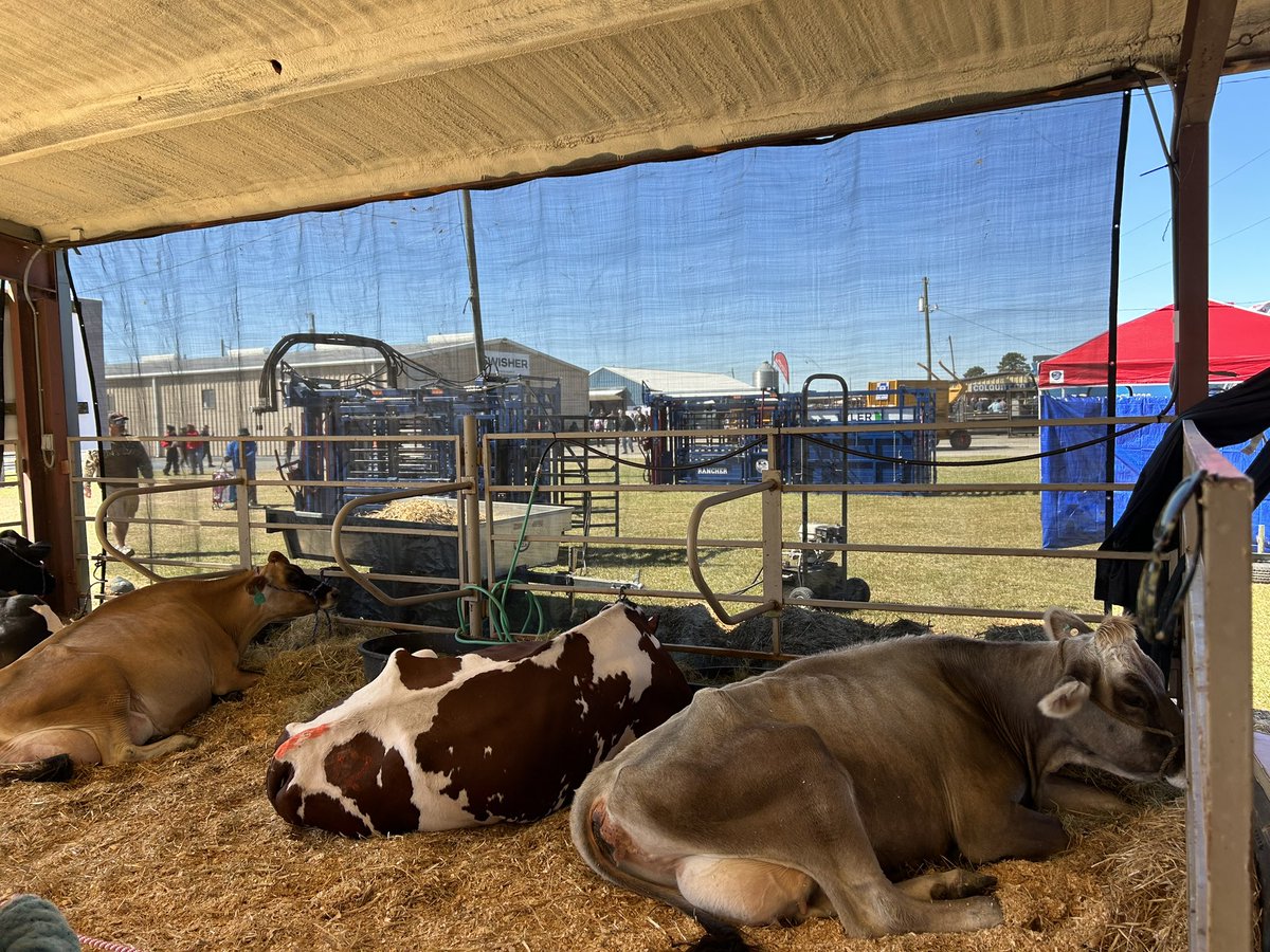 BenRussellFFA's tweet photo. FFA members attended the Sunbelt Ago Expo today in Moultrie, GA where students had the opportunity to meet with college representatives and business professionals in the agricultural industry. https://t.co/QQD07QUrtq