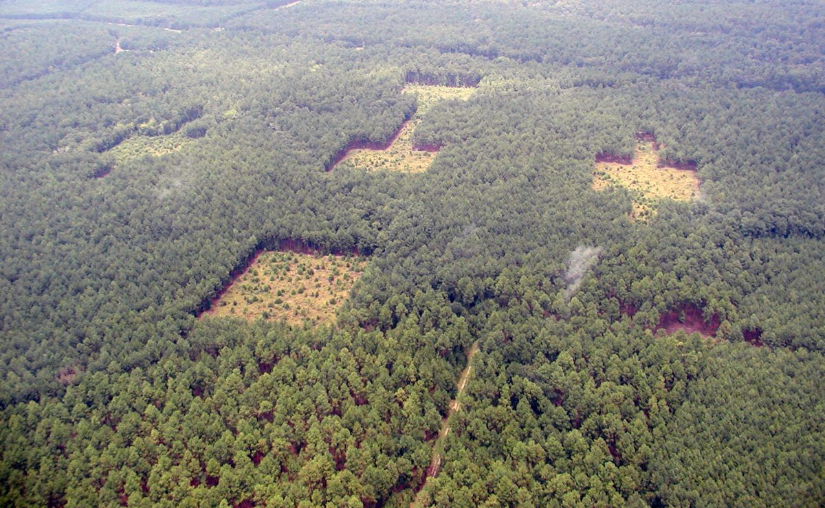 Want to work for our partnering University of Wisconsin researchers on <a href="/SRSNews/">SRS News</a> to better understand long term impacts of habitat connectivity on plant community assembly and diversity? Job and application details are at  damschenlab.zoology.wisc.edu/2022/09/26/mul…. #ScienceJobs #USFS #ResearchJobs