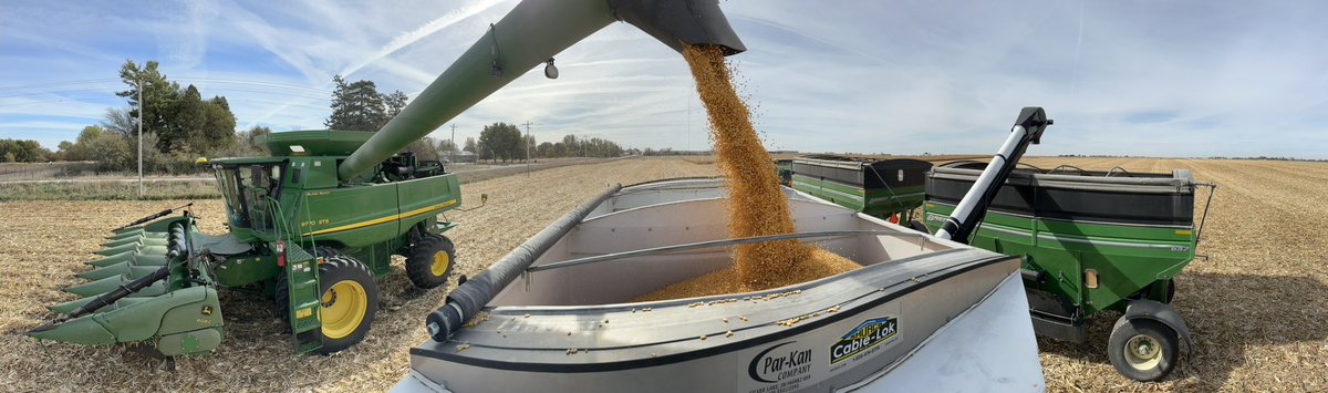 TyCMason's tweet photo. Another day, another yield calibration! @Asgrow_DEKALB dropping the hammer 🔨🔨🔨 https://t.co/t1ysNb3KMr