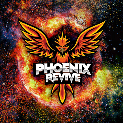 PhoenixReviveW3's tweet photo. We're about to #launch a killer #utility that will take the whole #crypto space by storm, especially on the #BSC

#dApps: Acquire massive amounts of quality investors and #DiamondHands, we revive dead projects.
https://t.co/Ep5XurdE3b https://t.co/4YMX7lPOqe