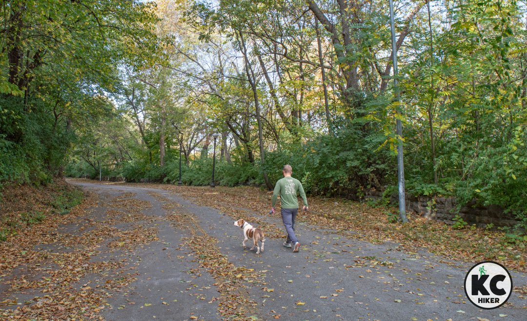HikerKC's tweet image. Cliff Drive is the centerpiece of KC&apos;s Kessler Park running 4 miles along the base of towering cliffs. It&apos;s closed to vehicles, which means you, your stroller and your bike have an entire two-lane roadway to yourself. bit.ly/3CIh45Y
#cliffdrive #kesslerpark #fallhikes