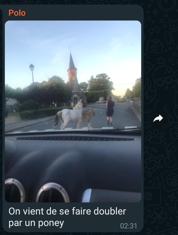 vierapide's tweet photo. dans une conversation whatsapp familial y'en a tjrs un qui sort du lot, perso c'est mon petit frère https://t.co/TwaP1R7U6h