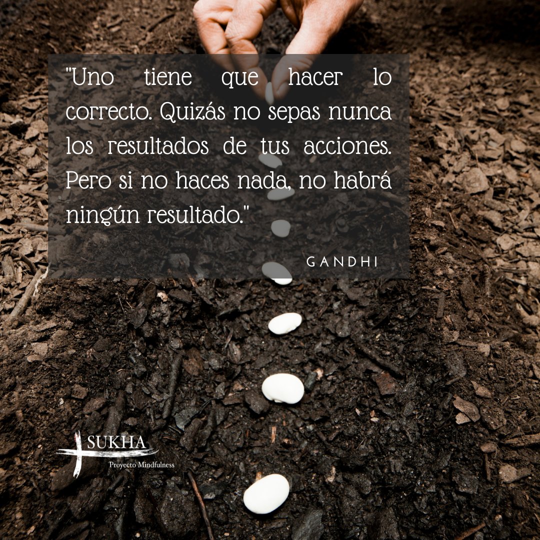SukhaMindfulnes's tweet photo. La meditación es acción.
Los frutos de esas acciones tal vez no sean inmediatos, pero sin duda influirán en algún momento en otros seres y experiencias. Nada es inocuo en nuestro caminar por esta vida.
_____
#mindfulness #meditacion #interser #meditation https://t.co/QnekeSPgfC