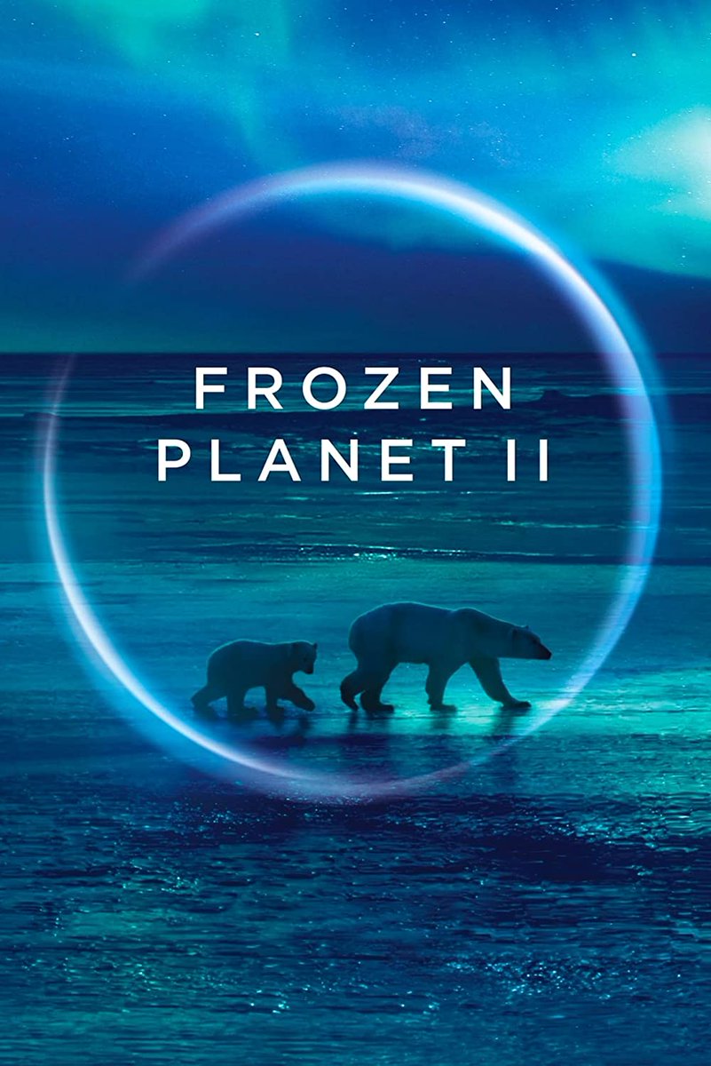 barbosaandres's tweet photo. Hoy se ha estrenado la nueva serie Frozen Planet II que nos mostrará las maravillas y amenazas de los mundos helados del planeta Veremos las imágenes de los pingüinos barbijos de isla Decepción donde tuvimos la oportunidad de compartir el tiempo de rodaje con el equipo de la BBC https://t.co/mDBPnnJEjz