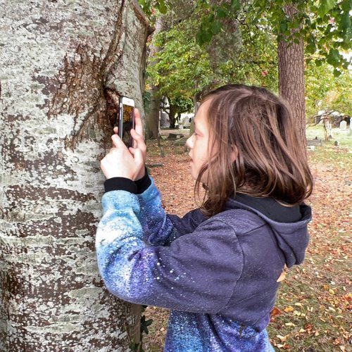 MudandBloom's tweet photo. ๐ทGo on a spooky nature photography hunt! ๐๐ธ
This is great fun and all you need is a camera or smart phone.
Read our blog post which includes some tips and ideas: https://t.co/EMipniB9uQ
#halloweenactivity #spookynature #photographyforkids #mudandbloom https://t.co/ZUZOijV2xM
