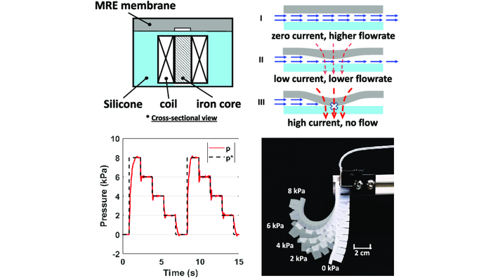 A Magnetorheological Elastomer-Based Proportional Valve for Soft Pneumatic #Actuators 

<a href="/PerlaMaiolino/">Perla Maiolino</a> <a href="/oxengsci/">Engineering Science, Oxford</a> onlinelibrary.wiley.com/doi/10.1002/ai…