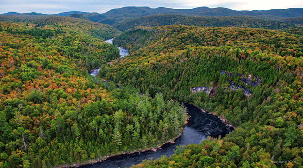 We gather the global board today in Bristol, Va, hosted by the active local Virginia chapter (which has conserved over 500,000 acres) to learn more about the global importance of the Appalachians in climate change adaptation and mitigation.