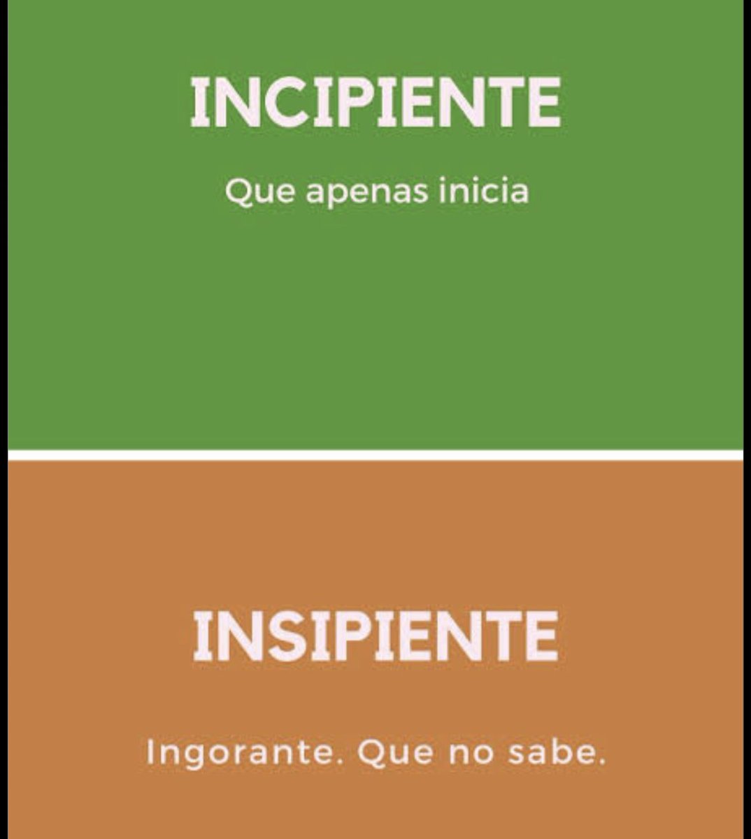 Ortografía tweet media