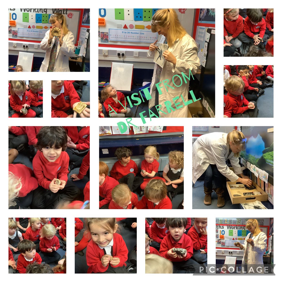 mrs_conlon's tweet photo. We were extremely lucky to have a visit from Dr Farrell today. We held trilobites, ammonites, very heavy fossilised shells and even a part of a dinosaur that she had found in the desert! Thank you so much. #universityofmanchester @BrookburnP @MissMpofuEYFS https://t.co/exxUFnUCUU
