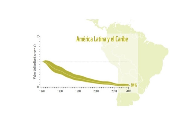 <a href="/CLAUDIABAHAMON/">claudiabahamon</a> <a href="/PirryOficial/">Pirry</a> <a href="/CerrosdeBogota/">Fundación Cerros de Bogotá</a> <a href="/MafeCarrascal/">Mafe Carrascal Rojas</a> <a href="/aterciopelados/">Aterciopelados</a> <a href="/pqconservacion/">Parque de la Conservación</a> <a href="/AlcaldiadeMed/">Alcaldía de Medellín</a> <a href="/DianAngel01/">Diana Angel</a> <a href="/sergio_fajardo/">Sergio Fajardo</a> ¡La cifra es alarmante🚨! A nivel global la disminución promedio de las poblaciones estudiadas fue del 69% y nuestra región es una de las más afectadas. La pérdida especies🐟🐆🐻 en América Latina y el Caribe fue en promedio 94%. Veamos el detalle👀⬇