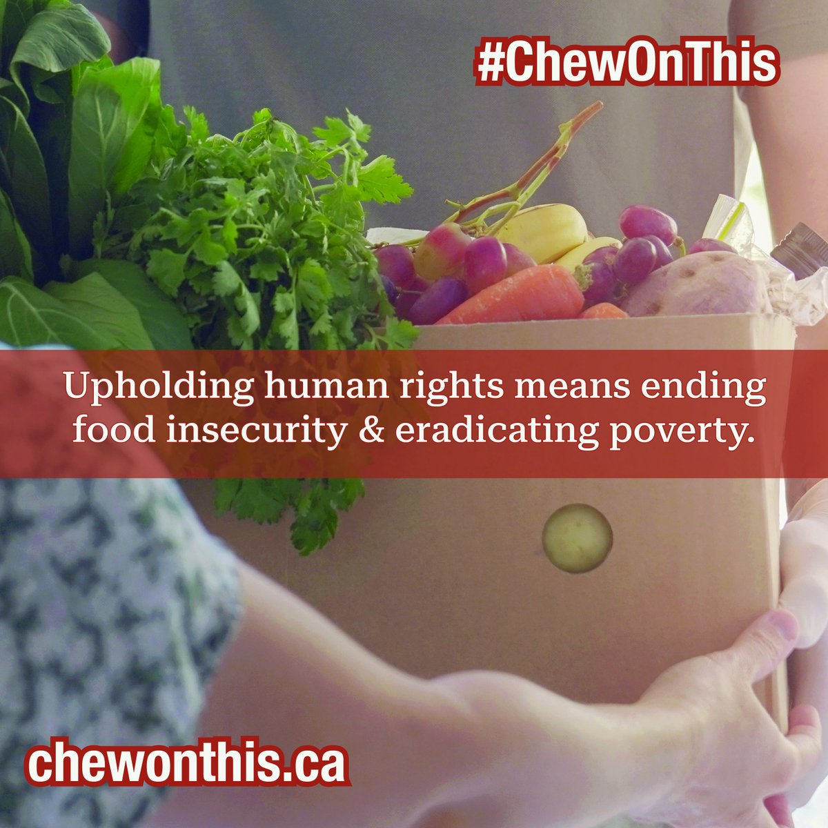 Food is a human need &amp; should be treated as a human right! We proudly signed an open letter calling on Canada to ensure food security for all, in connection w/ the International Day for the Eradication of Poverty earlier this week. Thanks <a href="/CWP_CSP/">Canada Without Poverty</a> for your leadership. #ChewOnThis