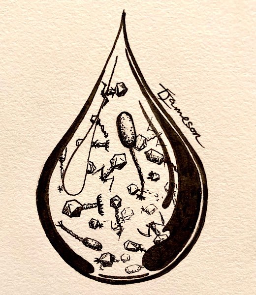 #microber2022 #inktober2022 19 Ocean: every drop off water from the ocean is full of bacteriophages, ~250 million per ml! They outnumber bacterial cells 10:1. #SciArt #phage