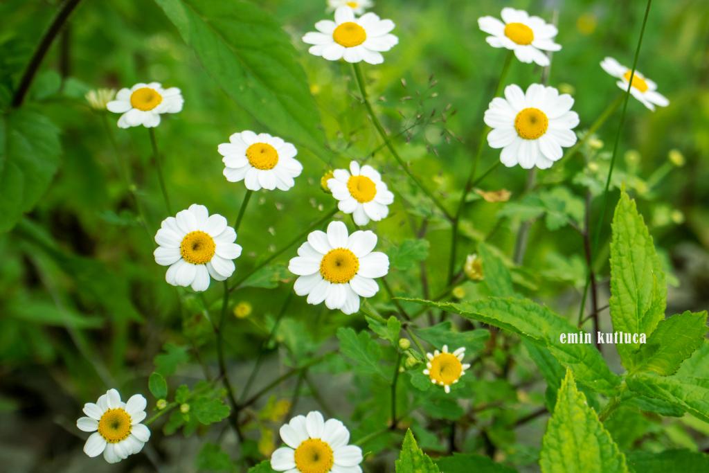RABB'İNİ BİLMEZ, KENDİNİ BİLMEZ, İNSANLIĞI ÖNEMSEMEZ, KILIKTAN KILIĞA GİREN İNSANDAN, HAYIR GELMEZ.