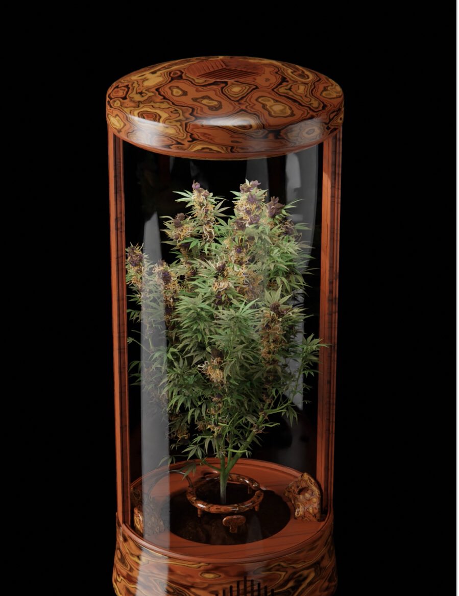 Let’s Goooo! Just minted my CryptoGrow Machine #homegrown #Freeweed <a href="/CryptoGrowNFT/">CryptoGrow NFT</a>  🌱💚 .89 ETH