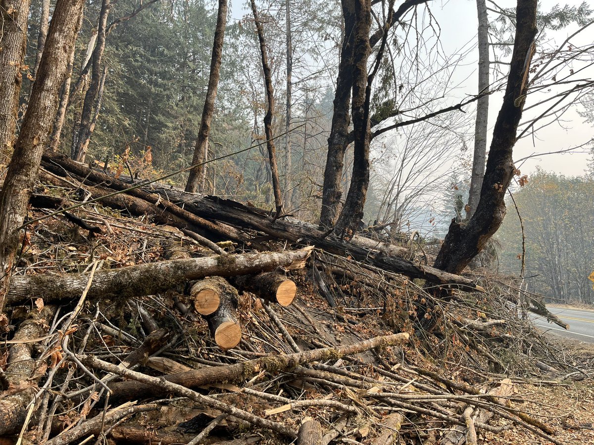 Paul Rivera on Twitter "Some extra photos. Showing burned soil and