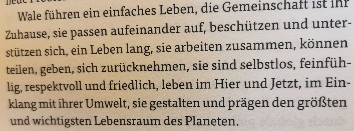 Mit diesem schönen Textabschnitt aus dem Buch "Walfahrt" von Oliver Dirr schicke ich Euch in die Nachtruhe.

Bis Morgen Ihr Lieben 🌜✨