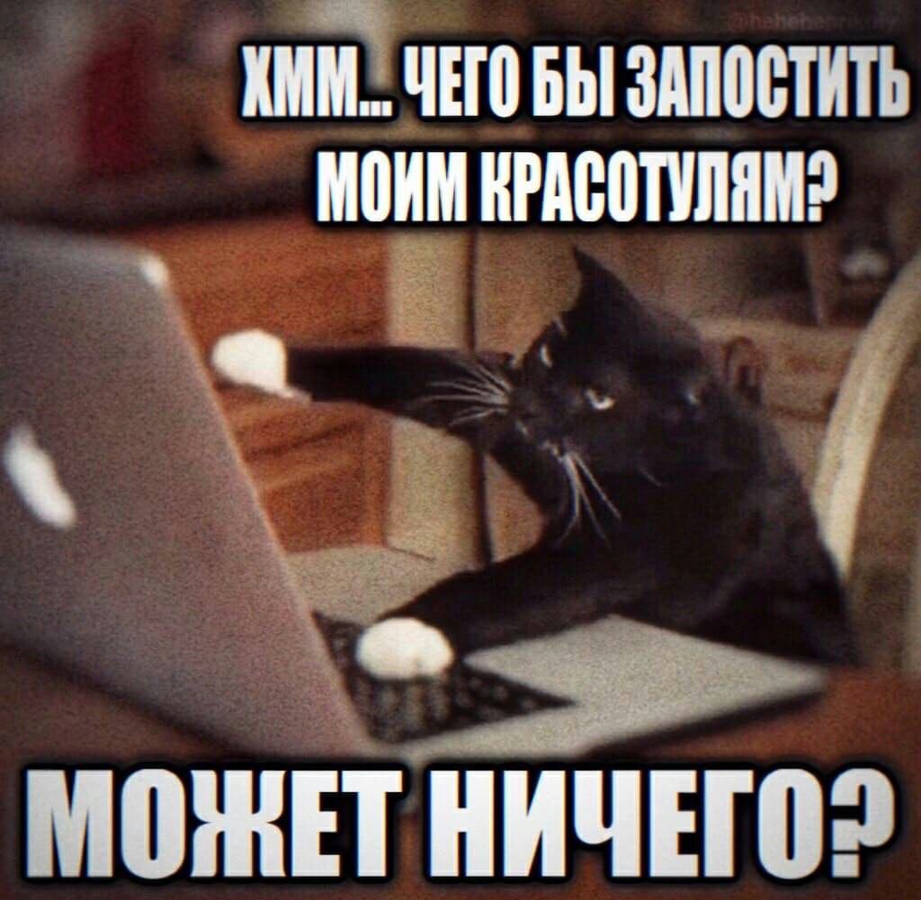 вы из курятника с нами общаетесь, это здорово (@userarbuser) on Twitter photo 