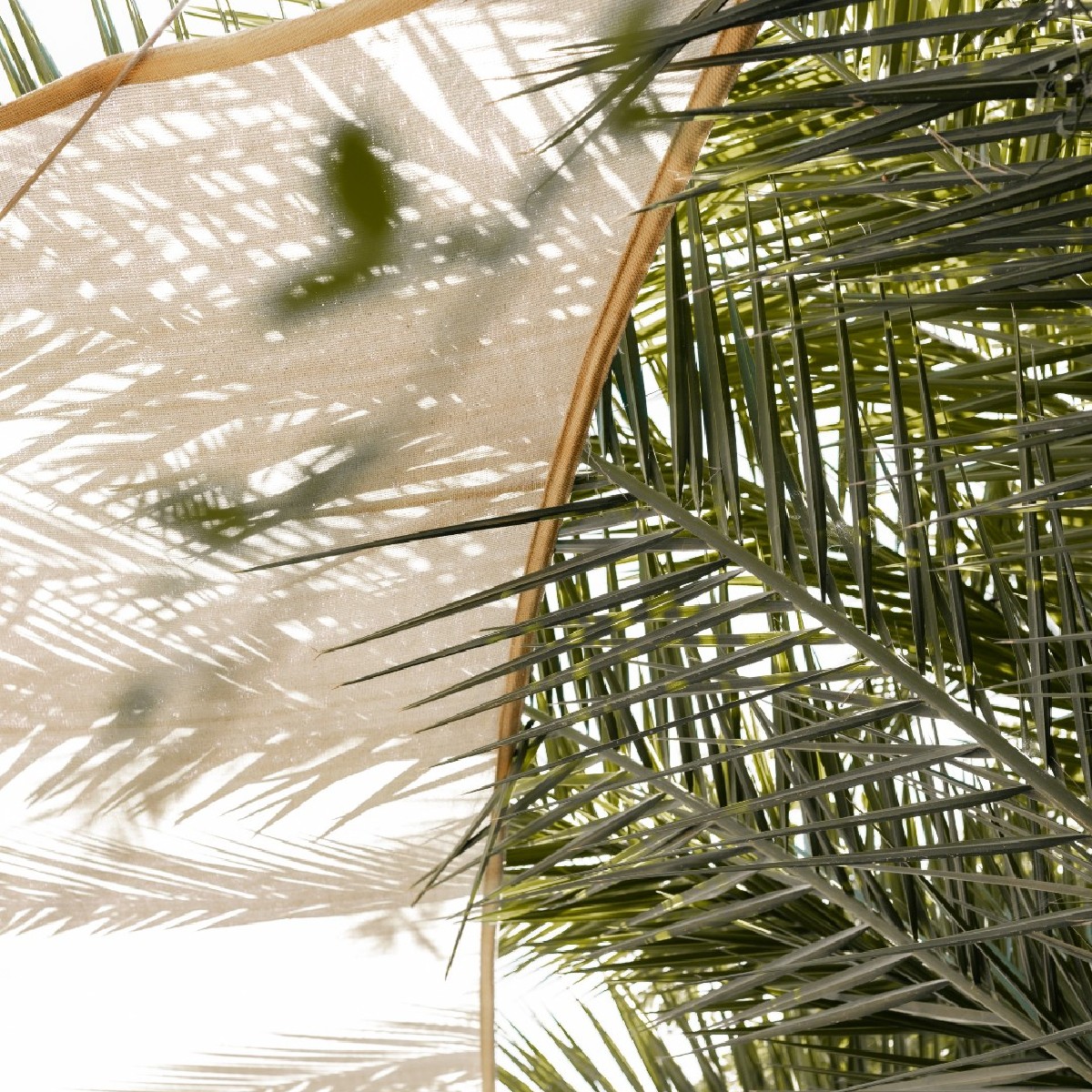 Stop by and visit us at our tasting room in the charming town of <a href="/losolivosca/">Los Olivos, CA</a>, just 45 minutes north of Santa Barbara. Enjoy a tasting flight featuring our acclaimed vineyard designate wines from Winemaker of the Year Greg Brewer. 
bygregbrewer.com/visit 
📸 <a href="/demiwardphoto/">Demi Ward</a>