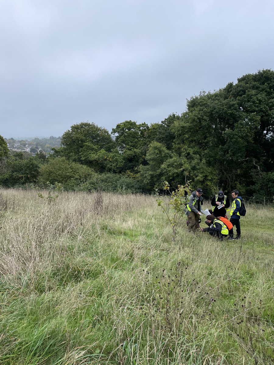 JessieW_Palaeo's tweet photo. A busy field week with MSc #SustainableEnvironmentalManagement and #EnvironmentalConsultancy students learning about sustainable tourism in Looe, waterfront regeneration, and urban green spaces @PlymUni @EnvSciPlymUni @PlymGeog https://t.co/xCHHdJKg3O