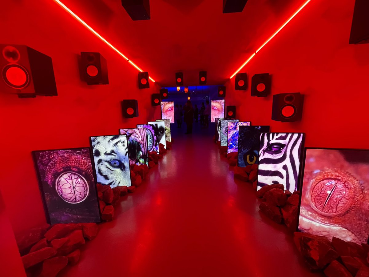 The Comms Collective tweet media