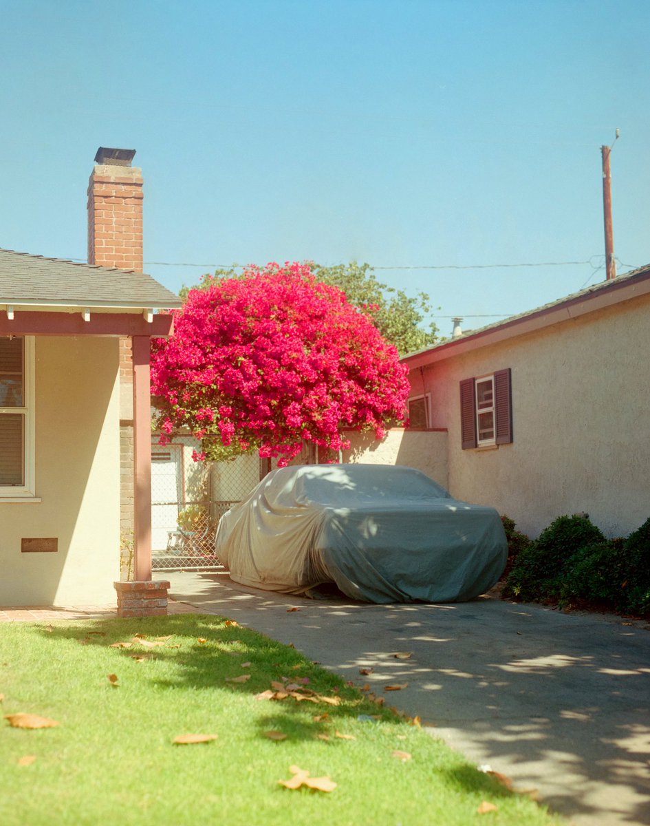 nickjrufo's tweet photo. i love film photography https://t.co/fiE53KvZ4G
