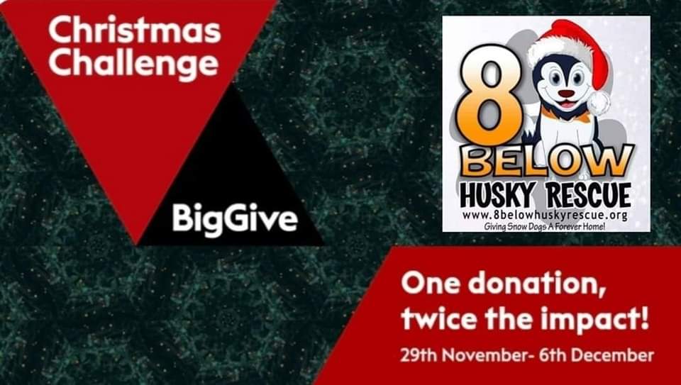 💥BIG NEWS💥

"Save the date and double your donation!” 

Check out our campaign page here 👇 and why we need your help! 🥰
 donate.thebiggive.org.uk/campaign/a0569…

Save the date 📆 29 Nov - 6 Dec

✌ One Donation, TWICE the impact!

#christmaschallenge22  #givingtuesday2022