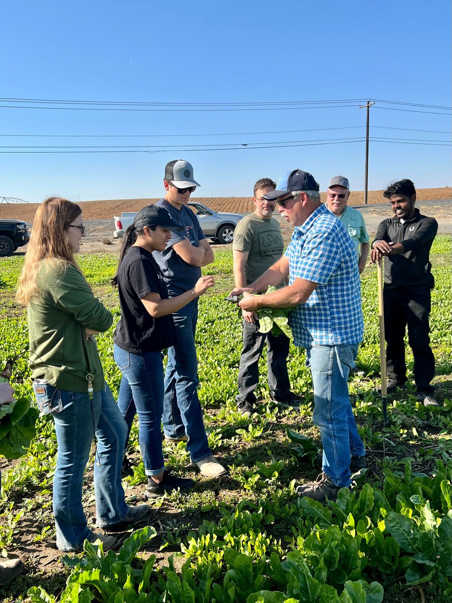 BigBendVikings's tweet photo. Last week it was alfalfa, this week sugar beets! Students in Aaron Mahoney's crop production course met with local seed producer Ron Welch to tour his farm and learn more about growing seed for resale.
#BigBendCC #BigBendAg https://t.co/uk07Ve9Qkj