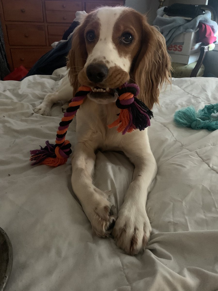 M. E. Fair tweet media