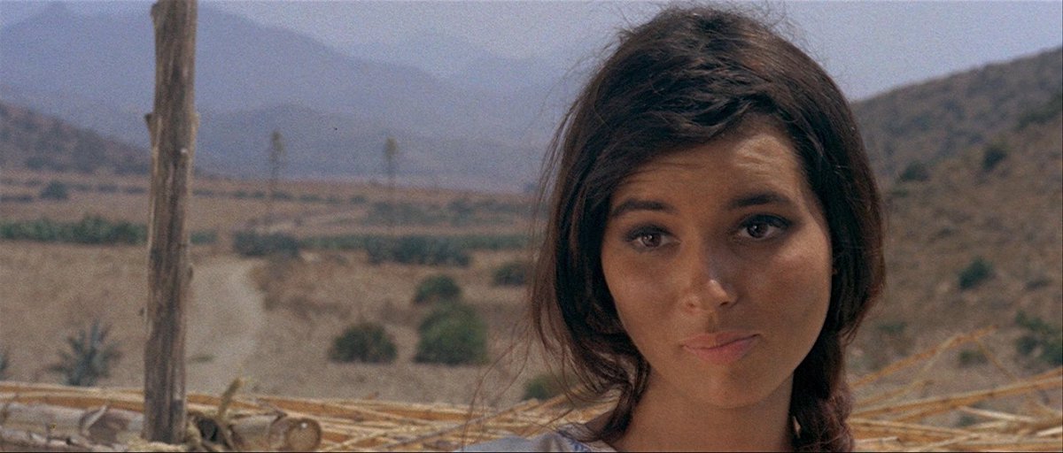 AlmeriaMovies's tweet photo. #HeaderImage (imagen de cabecera)
At the time I was a little hesitant between these two:
Straight to Hell vs Faccia a Faccia
Tabernas vs Cabo de Gata
🇬🇧 vs 🇮🇹
Italians ♀️ always win! 💘 https://t.co/xhZjeZacwt