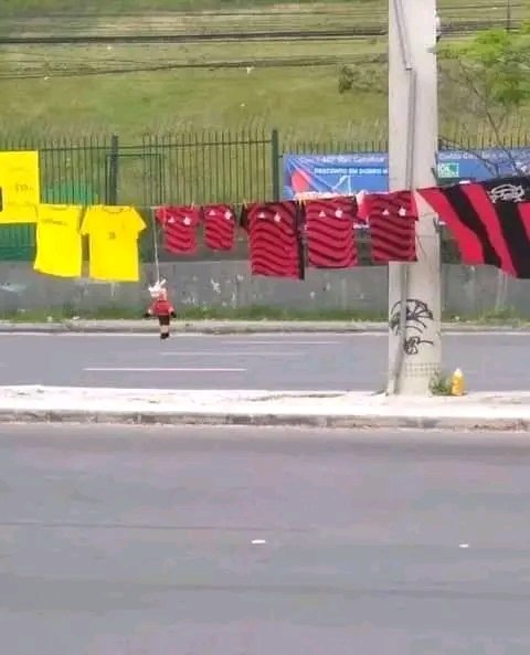 Cavalinho não aguentou a espera 😔