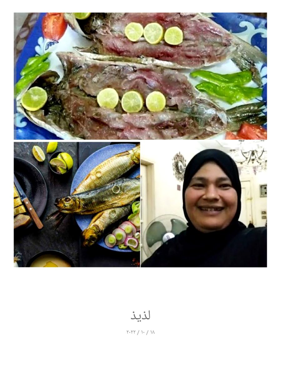 اتحدث عن نفسي بالصورة أكلات مصريه قديمه وحديثه فلاحي