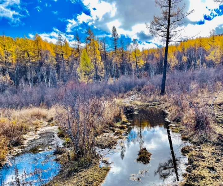 Erdenehishig tweet media