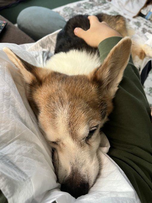 おはようございます。 