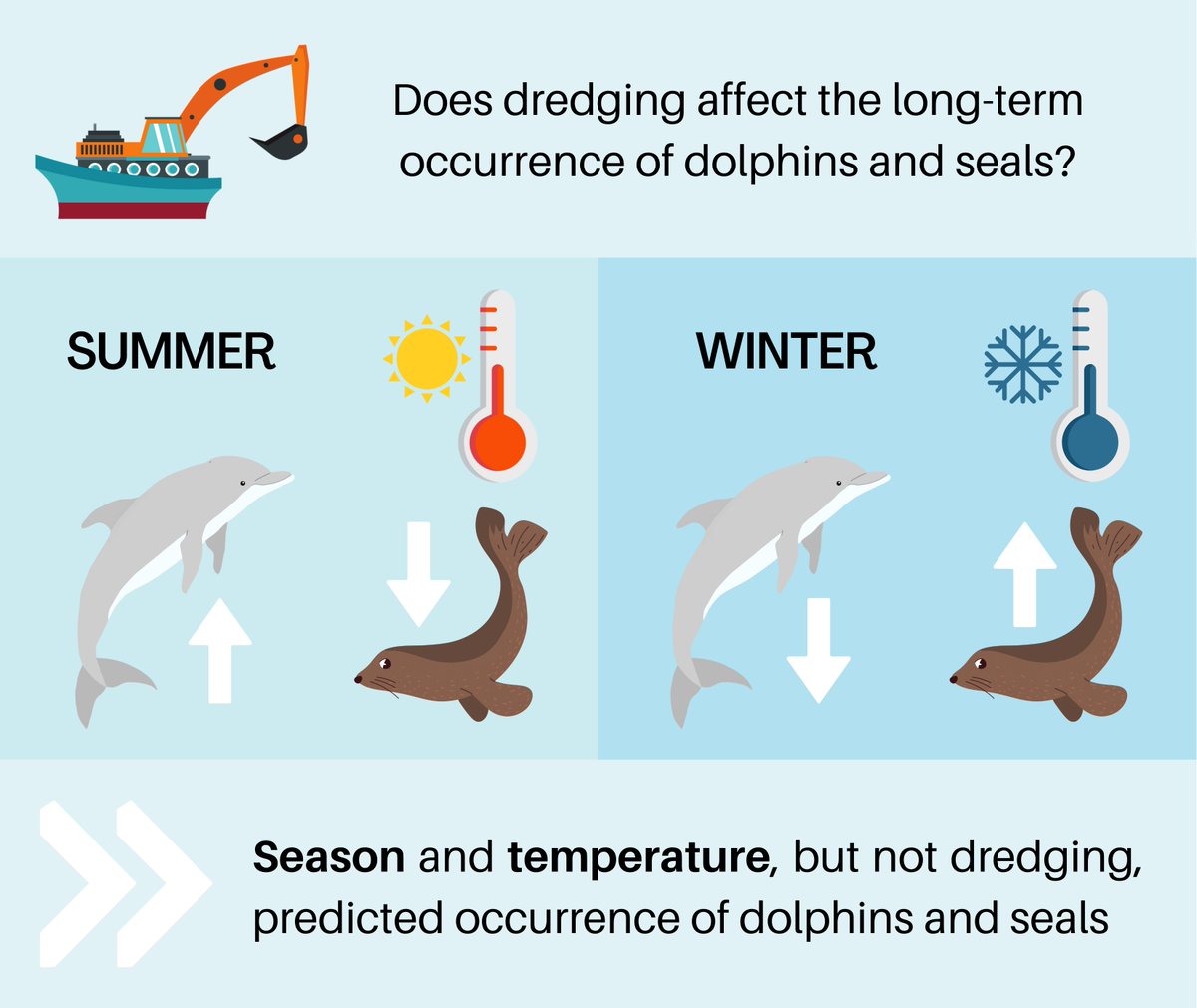 kjopeters's tweet photo. #Dredging , #dolphins 🐬, and #seals 🦭: Can they coexist? 
Read all about it in our new paper @CEBELresearch &amp; @GlobEcoFlinders in Marine Pollution Bulletin!
Available open-access at: https://t.co/1QZ8G6TOX4 @womeninmmsci #marine #AcademicChatter @PostdocVoice @marinemammalogy https://t.co/G1zQZgX68d