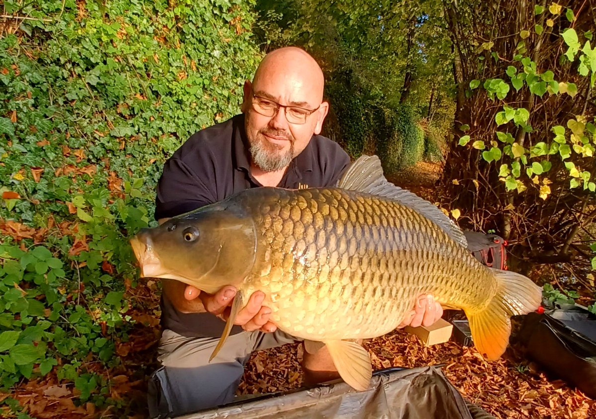 fdcbaits's tweet photo. Une après midi d automne ensoleillée qui se passe au top ... 4h de pêche pour 4 poissons 😁😁... sur un amorçage pellet /red garlic salmon  , les fishs ont répondu présent  😎🇧🇪
#redgarlicsalmon #carplifestyle #fdcbaits #BelgiumCarp #carpfishing #carpe #carp #spinnerrig https://t.co/W5NOA2Ix04