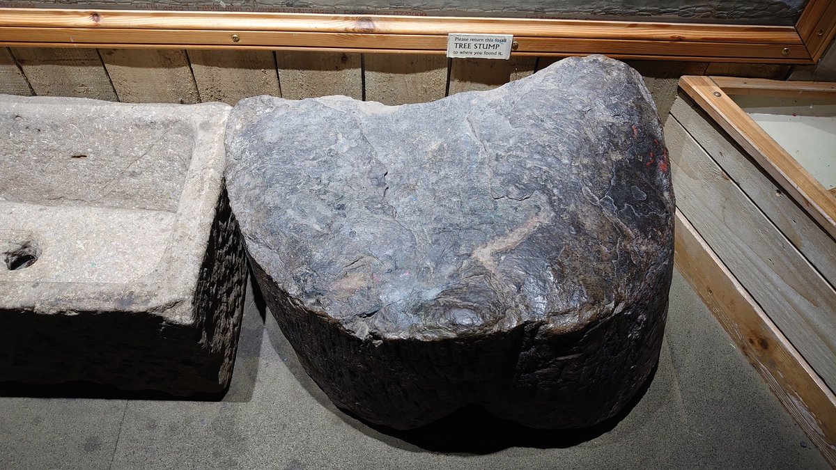 stugilfillan's tweet image. Fun afternoon of cohort building with the @GeosciencesEd @EdinGeoenergy MSc at the @ShaleMuseum this afternoon

We learnt about the history of oil extraction in Scotland, with the rare breeds farm @AlmondValleyHC being an added bonus!