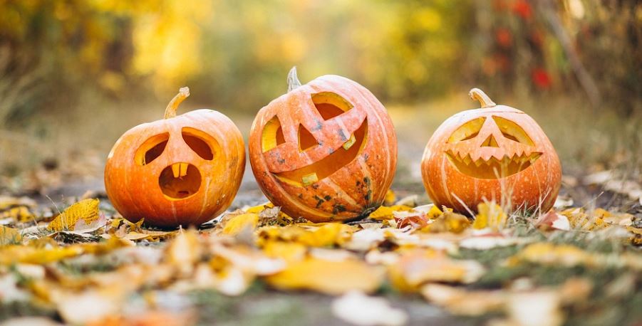 ohipgh's tweet photo. Spooky season has arrived in the Steel City. This year Halloween will take place on Mon, Oct 31 from 5:00 pm to 7:00 pm. The city reminds residents to drive with caution &amp; slow down during trick-or-treating hours. Let’s all do our part to keep our kids safe and be on the lookout. https://t.co/eyUzpK3e0R