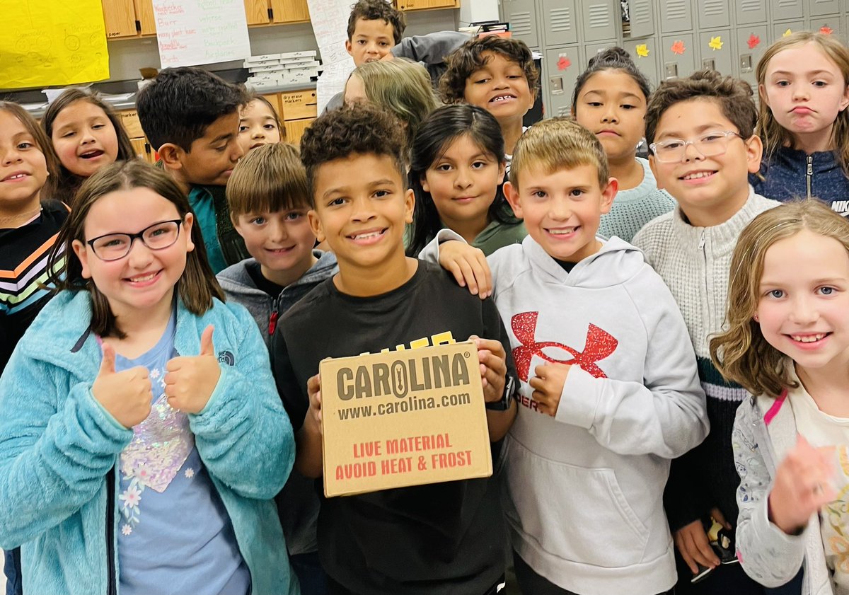 Sometimes the arrival of the materials is the “hook.” <a href="/CarolinaBio/">Carolina Biological</a> 
#anticipation #LIVEMATERIALS #bestyearever