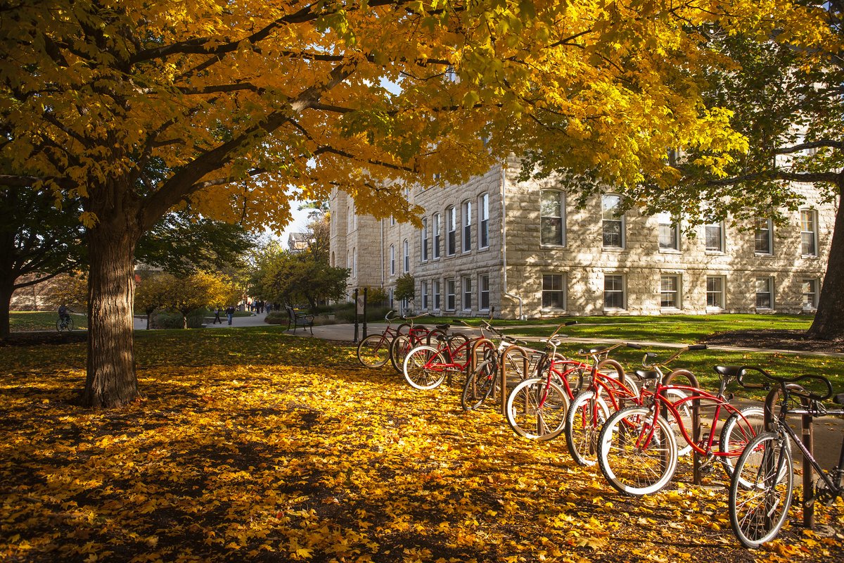 northcentralcol's tweet photo. It’s especially hard not to ‘fall’ in love with campus during this time of year. ❤️🍂 https://t.co/gvFaJ9Dv2A