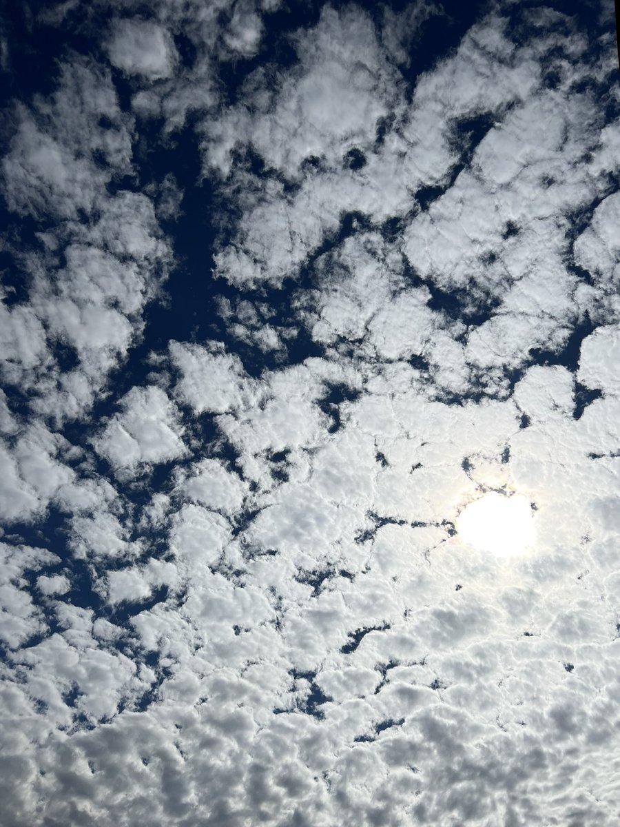 _glowy_'s tweet photo. 10.18.22 clouds https://t.co/cbuLYA87Vf