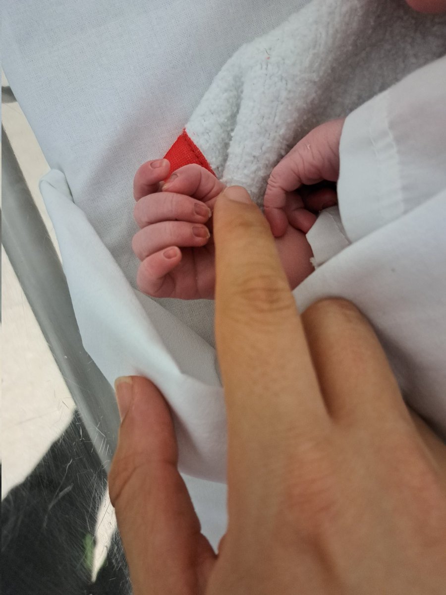 Roberto Ramallo tweet media