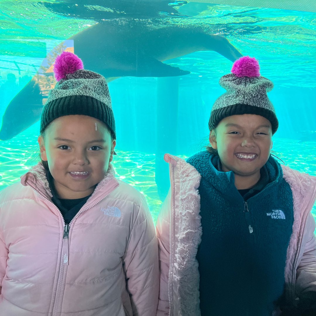 ProdeoAcademy's tweet photo. Our first grade Columbia Heights scholars enjoyed a field trip to the @ComoZoo Ms.Person's class engaged in learning outside the classroom by observing, listening, and asking questions about the animals they saw! #ProdeoPRIDE #fieldtrip #explore https://t.co/l1dKtlKzqR