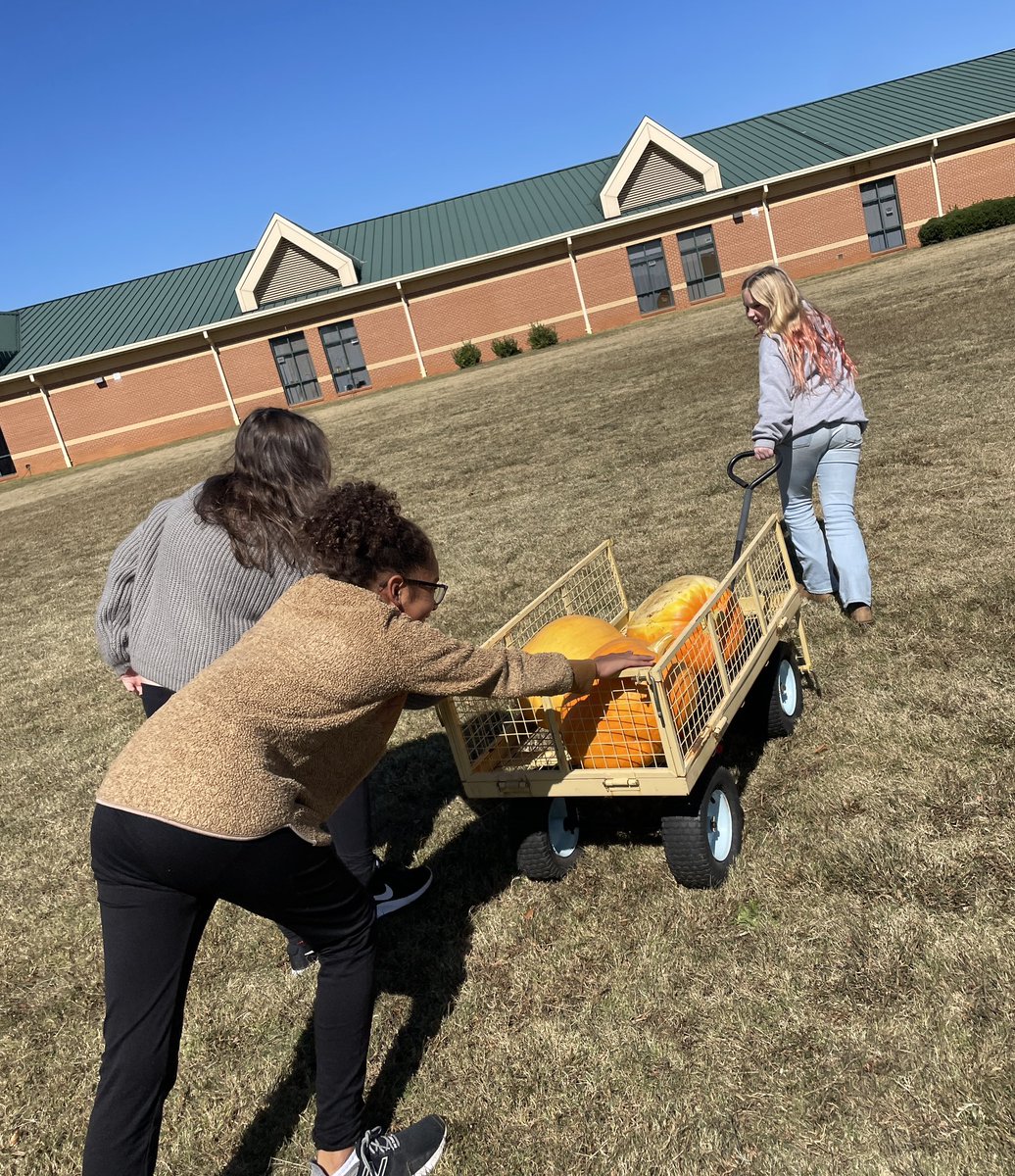 UGE_HCS's tweet photo. So much goodness today! Kindergarten celebrated the 50th day of school, we harvested our fourth batch of pumpkins, and we had parent helpers volunteering in classrooms. #unitymakesusgreat https://t.co/9BCMOuhVZi
