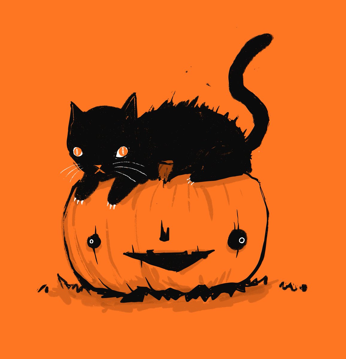 pitchcanker's tweet photo. GOURD HOARDER https://t.co/2Dl9IgGKcE