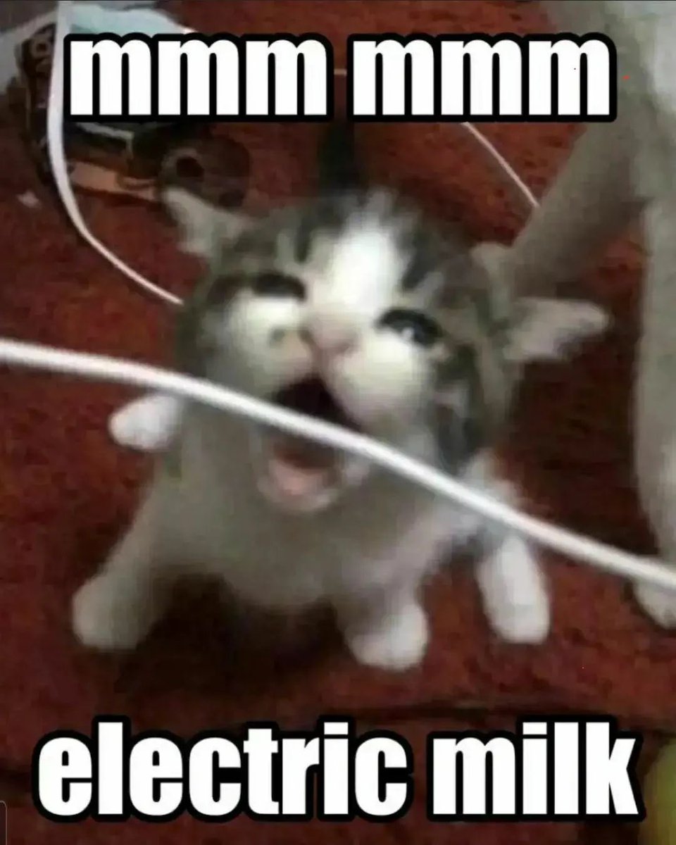 catpicsdealer's tweet photo. https://t.co/5uLdEyYPqc