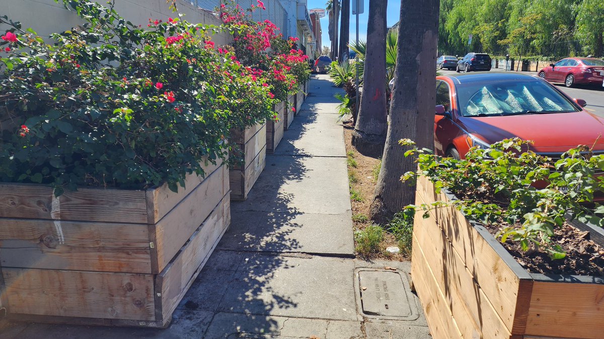 LATACO's tweet photo. Dozens of newly installed planters in Westlake near Wilshire and Bonnie Brae. In the past planter boxes and boulders have been used as a tool to displace unhoused residents and street vendors. Some have been there for atleast 2 yrs, these were added recently. Via: @ShotOn35mm https://t.co/EvQqmtjAzl