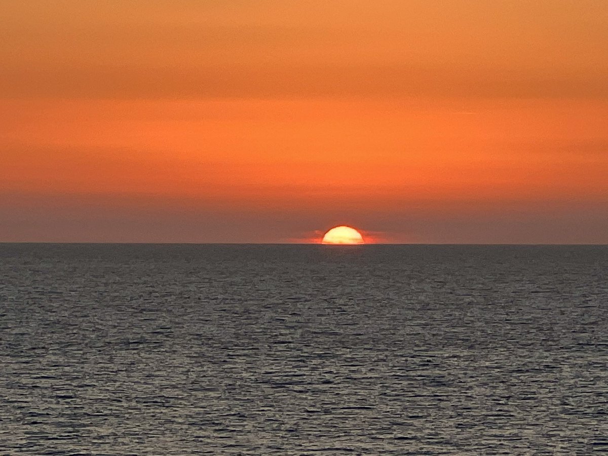 Derek Prout-Jones🇿🇦🦅🍷☕️🪂🤿🙏🏻 tweet media