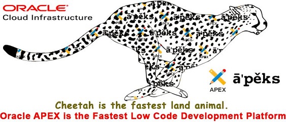 varghese0905's tweet photo. Learn, Share, and Collaborate!
#orclAPEX #oracle #LowCode
@OracleAPEX #OCI #APEXonAutonomous #APEXService #Free #Training https://t.co/4C7J2GWUgR